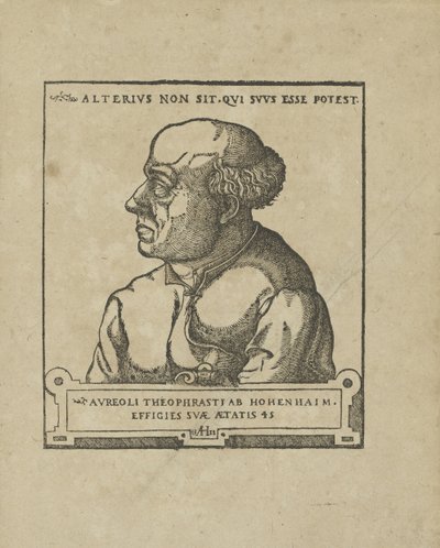 Philippus Theophrastus Aureolus Bombastus von Hohenheim Paracelsus de Unbekannt