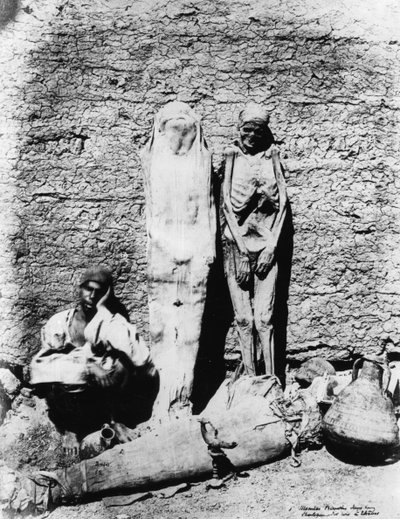 Fotografía de momias, 1860 de Unbekannt
