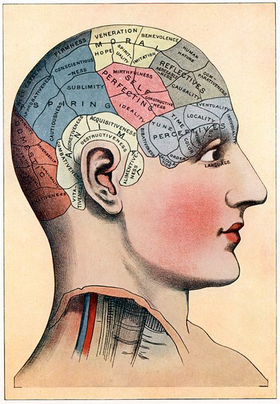 Gráfico de frenología, mostrando las áreas presumidas de actividad del cerebro, c. 1920 de Unbekannt