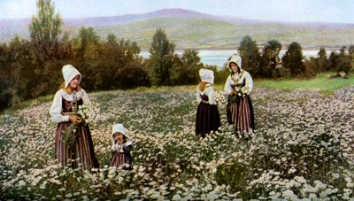 Recogiendo flores en un prado cerca de Leksand, Suecia de Unbekannt