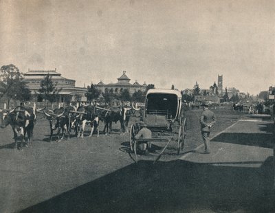 Pietermaritzburg, c1900 de Unbekannt