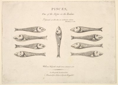 Piscis: El Cuadril de Peces de Hogarth, ca. 1730. de Unbekannt