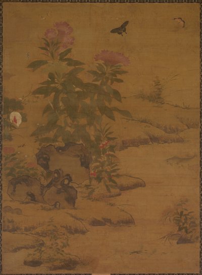 Plantas e insectos, 1368-1644 de Unbekannt