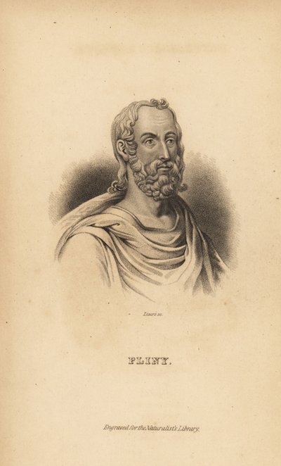 Plinio el Viejo, Gaius Plinius Secundus, autor romano, naturalista y filósofo natural, AD23-79 de Unbekannt