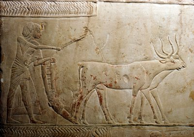 Arando de una estela egipcia, XVIII Dinastía, 1332 a.C.-1323 a.C. de Unbekannt