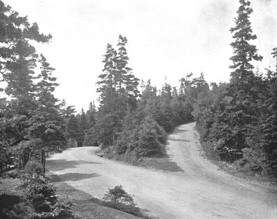 Parque Point Pleasant, Halifax, Nueva Escocia, Canadá, c1900 de Unbekannt