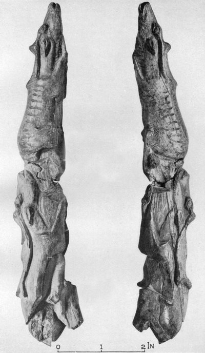 Punta de colmillo de mamut tallada con renos, de Montastruc, Bruniquel, Francia, 1926 de Unbekannt