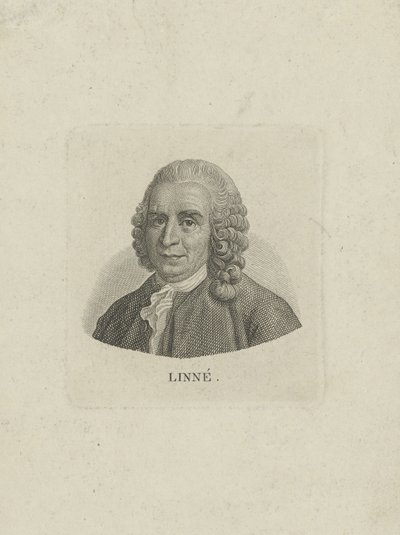 Retrato de Carl Linnaeus 1707-1778, c. 1780 de Unbekannt