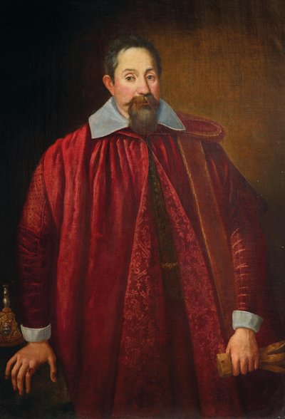 Retrato de Jacopo Pitti 1519-1589 como senador florentino de Unbekannt
