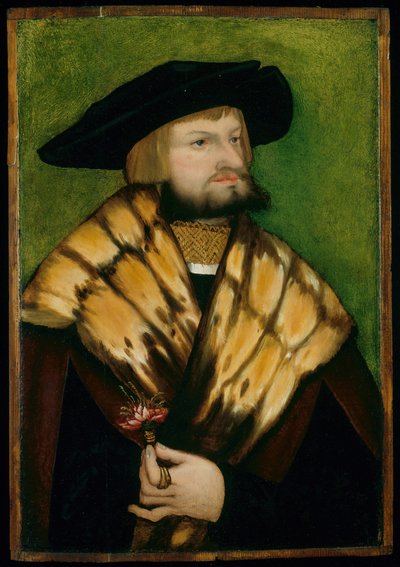 Retrato de Leonhard Fuchs, 1525 de Unbekannt