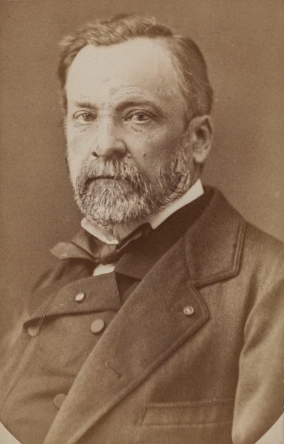 Retrato de Louis Pasteur 1822-1895 de Unbekannt