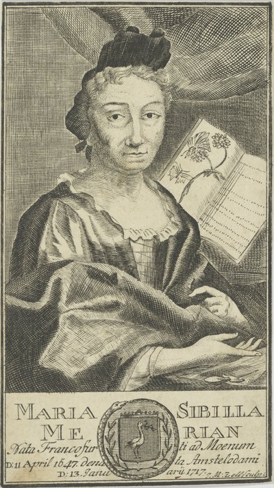 Retrato de Maria Sibylla Merian 1647-1717, 1755 de Unbekannt