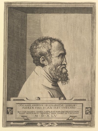 Retrato de Miguel Ángel de perfil mirando a la derecha dentro de un hueco, 1545 de Unbekannt