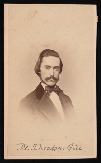 Retrato de Theodore Nicholas Gill 1837-1914, alrededor de 1860s de Unbekannt