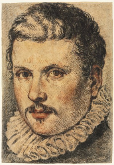 Retrato de un hombre, 1500s de Unbekannt