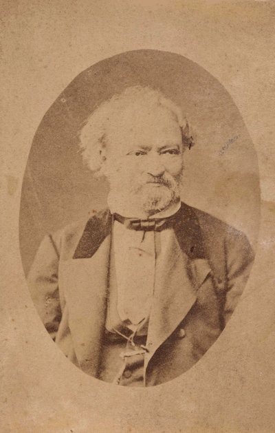 Retrato del pianista y compositor Ferenc Erkel 1810-1893, c. 1875 de Unbekannt