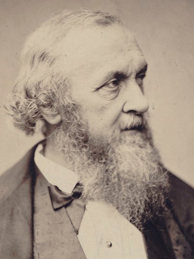 Retrato del compositor Adrien de La Fage 1801-1862 de Unbekannt