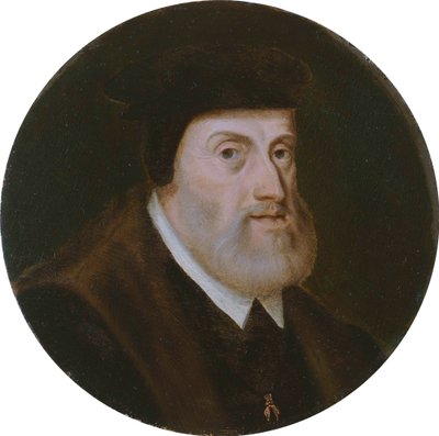 Retrato del Emperador Carlos V 1500-1558, c. 1550 de Unbekannt