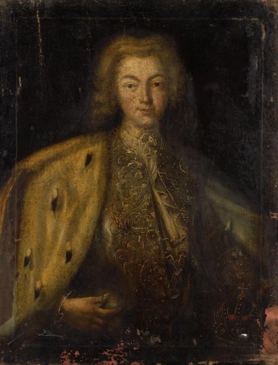 Retrato del Zar Pedro II de Rusia 1715-1730, siglo XVIII de Unbekannt