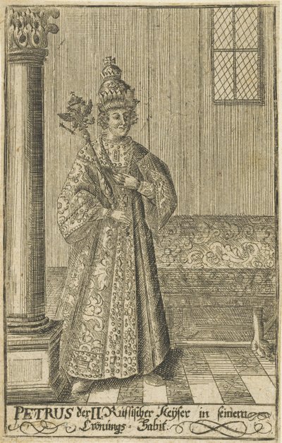 Retrato del zar Pedro II de Rusia 1715-1730 de Unbekannt