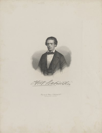 Retrato del compositor Anton Rubinstein 1829-1894 de Unbekannt