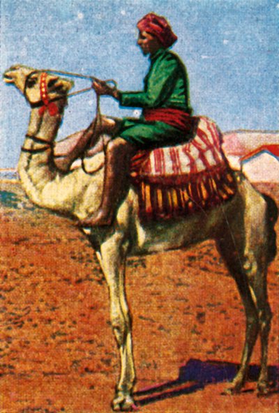 Correo Entregado por Camello, Arabia, c1928 de Unbekannt