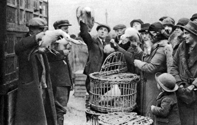 Comerciantes de aves, Mercado de Caledonia, Londres, 1926-1927 de Unbekannt