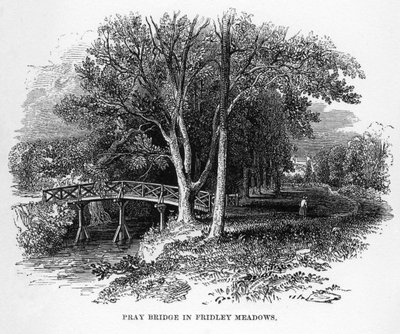Puente Pray en Fridley Meadows, Surrey, siglo XIX de Unbekannt