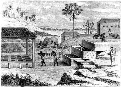 Preparando índigo, Santo Domingo, 1873 de Unbekannt