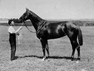 Pretty Polly, 1901-1931, 1911 de Unbekannt