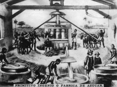 Ingenio primitivo, siglo XVI, 1920s de Unbekannt