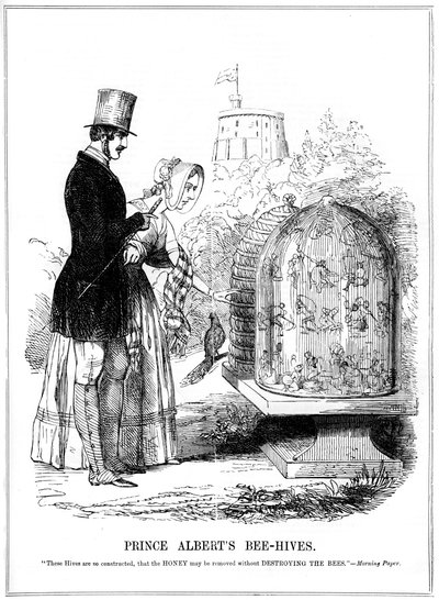 Las colmenas del Príncipe Alberto, 1843 de Unbekannt