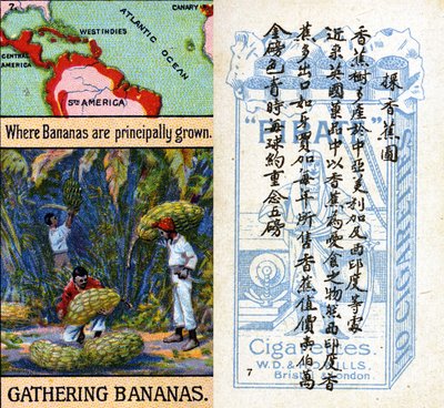 Áreas principales para el cultivo de bananas, de la serie de tarjetas de cigarrillos 