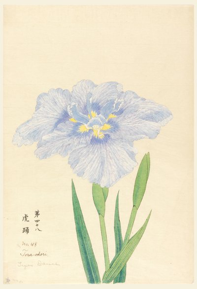 Impresión, Danza del Tigre (Tora-Odori), No. 48 de Unbekannt