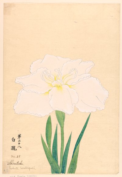 Impresión, Cascada blanca (Shirataki), No. 28 de Unbekannt