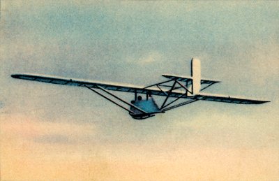 Alumno en planeador de entrenamiento camuflado Zögling, 1932 de Unbekannt