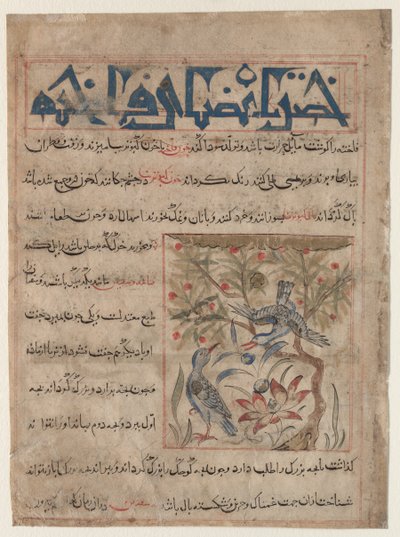 Cualidades de las tórtolas (recto), Sobre los beneficios de las codornices (verso), c. 1300 de Unbekannt