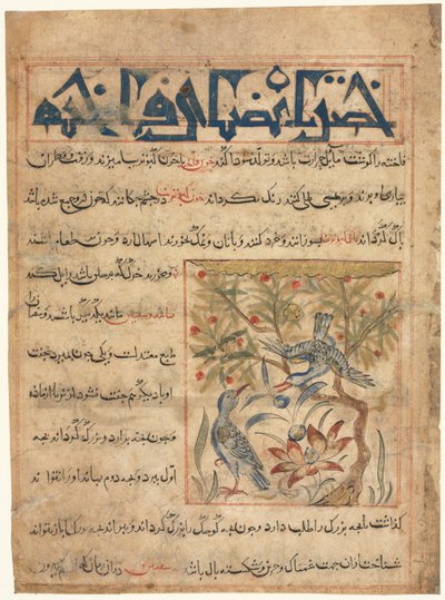 Cualidades de las Palomas recto de un Manafi al-Hayawan Sobre la Utilidad de los Animales, c. 1300 de Unbekannt