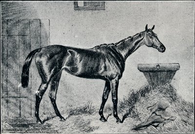 Reina Berta, siglo XIX, 1911 de Unbekannt