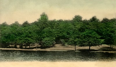 Queensmere, Wimbledon Common, Londres, 1903 de Unbekannt