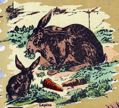 Conejos y zanahorias. Alfabeto ilustrado. Imágenes reunidas en Jarville-Nancy, principios del siglo XX. Litografía sobre fondo bistre de Unbekannt