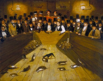 Caza de ratas en la taberna Blue Anchor, Bunhill Row, Finsbury, c. 1850 de Unbekannt