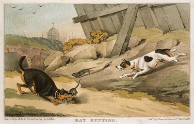 Caza de ratas, 1823 de Unbekannt