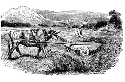 Reconstrucción de carro de segar romano, según lo descrito por Plinio, Grabado, 1860 de Unbekannt