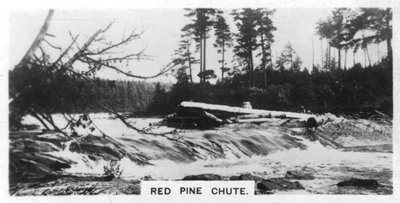Red Pine Chute, Canadá, años 1920 de Unbekannt