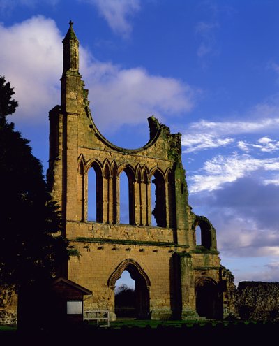 Restos de la fachada, Abadía de Byland, North Yorkshire (foto) de Unbekannt