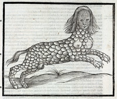 Representación de la criatura Lamia (Sybaris) Grabado extraído de History of Four-Footed Beastes de Edward Topsell 1607 La Lamia de Unbekannt