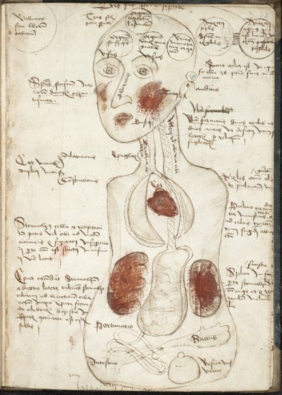Representación de una teoría aristotélica de la conciencia De: De corpore et anima de Unbekannt