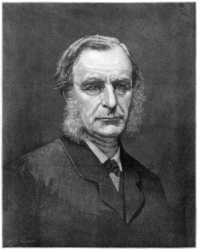 Reverendo Charles Kingsley, clérigo y escritor inglés, 1875 de Unbekannt