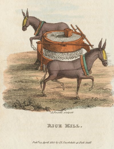 Molino de Arroz, 1813 de Unbekannt